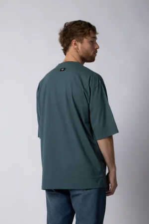Alternative view of REMERA OVER THEO OCEAN