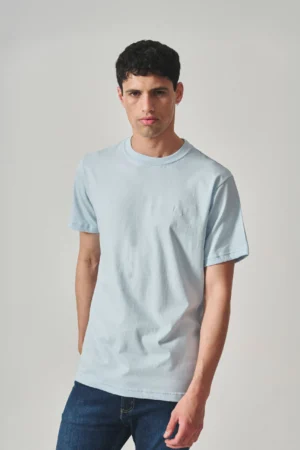 REMERA LEVITT BORDADA CELESTE